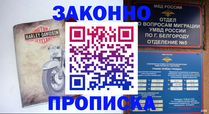 прописка для школы в Заречном